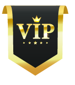 Agency Fast Track 2025 VIP Badge